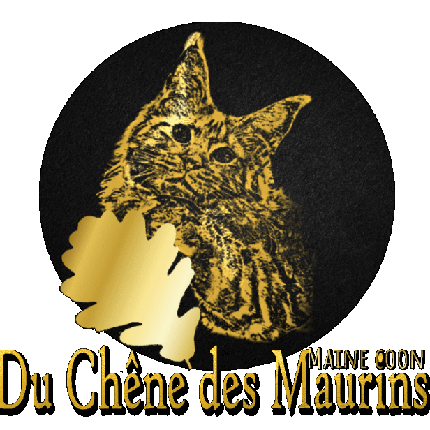 Du Chêne des Maurins