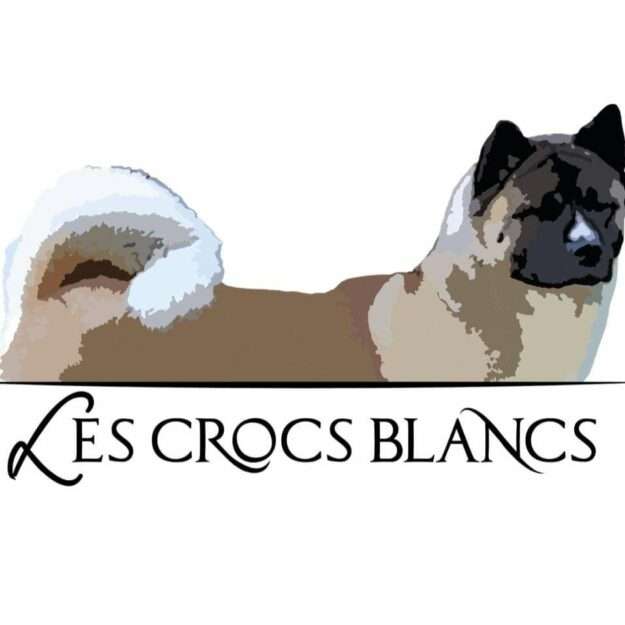 Les crocs blancs