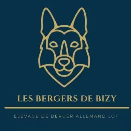 Les Bergers de Bizy