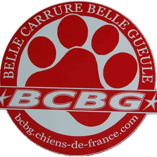 BCBG BELLE CARRURE BELLE GUEULE