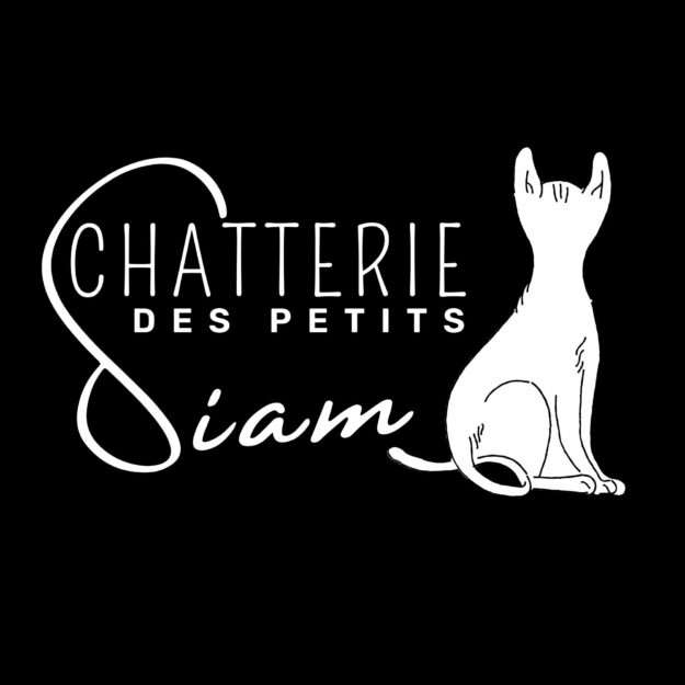 Chatterie des Petits Siam