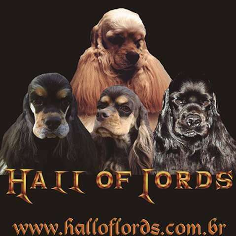 Hall of Lords