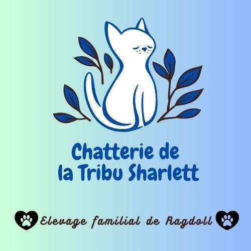 Chatterie de la Tribu Sharlett