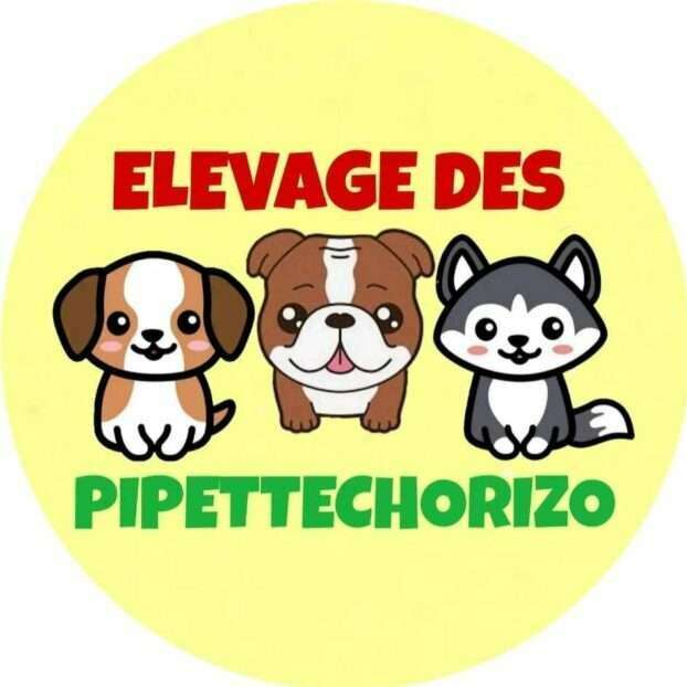 Des pipettechorizo