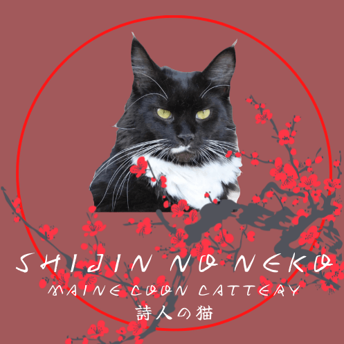 Shijin No Neko