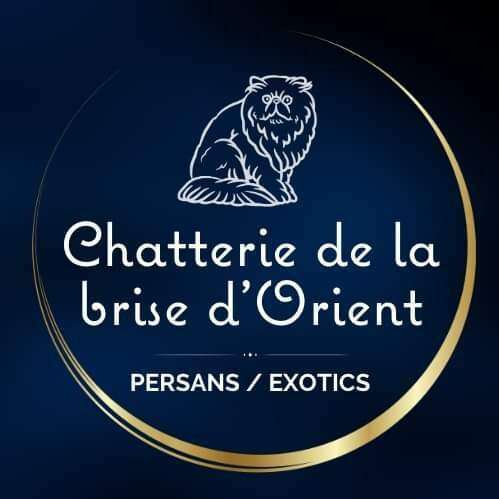 Chatterie de la Brise D'Orient