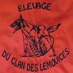 du Clan des Lémovices